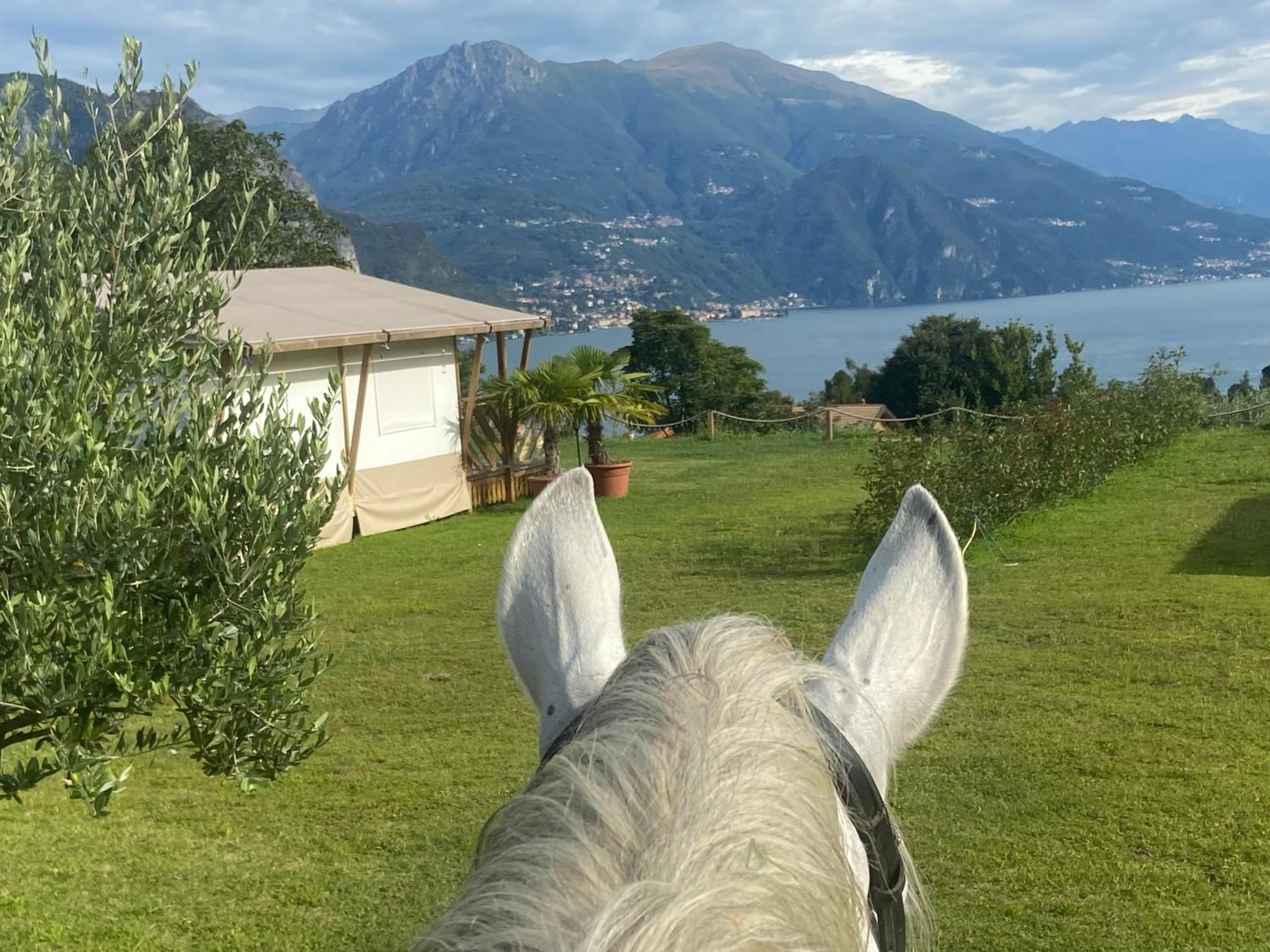 Luxury Lodge Bellagio Bagian luar foto
